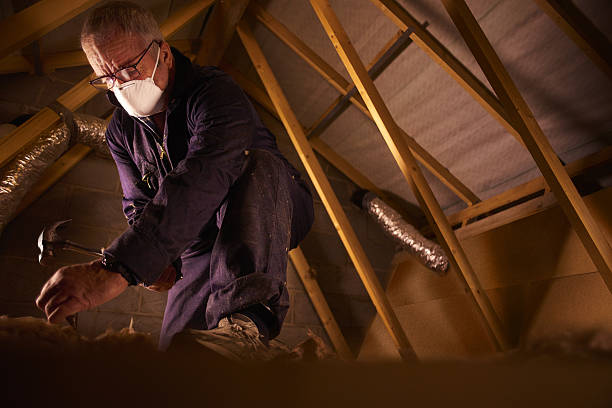 Best Cellulose Insulation in Citrus Springs, FL